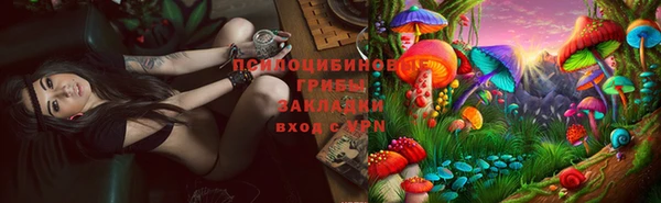 наркотики Елизово