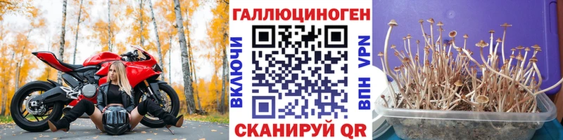 Галлюциногенные грибы Psilocybine cubensis  hydra как зайти  Одинцово  купить  